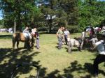 IMG_0006JPG.jpg - 